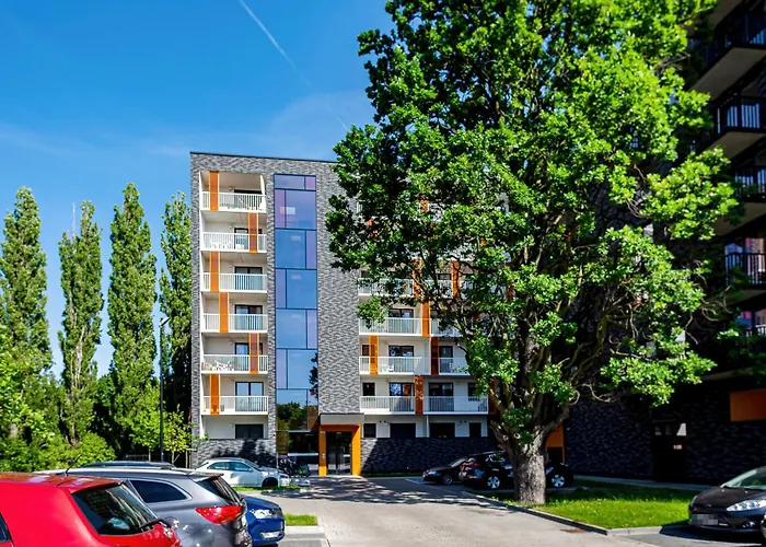 公寓 Elegant Tumskie Ogrody With Free Garage By Renters *